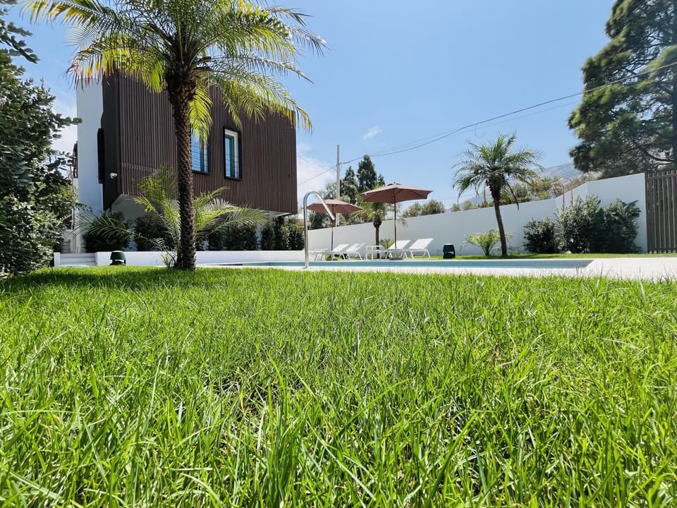 Property building, Garden, Garden view
