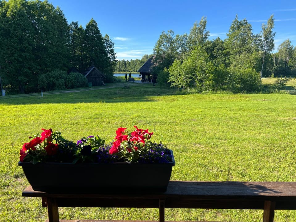 Garden view