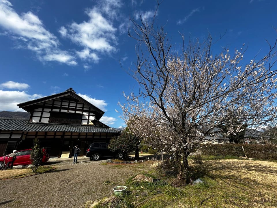 Spring