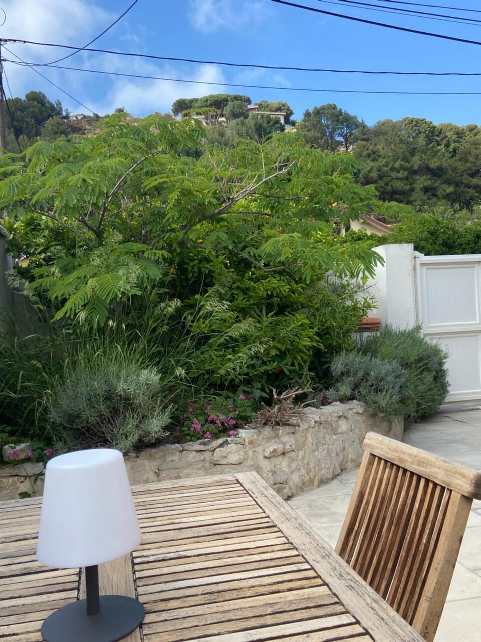 Natural landscape, Garden, Garden view