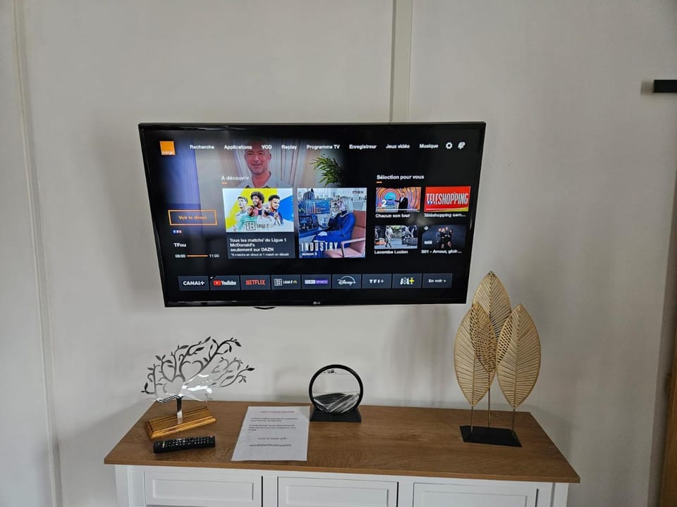 TV and multimedia