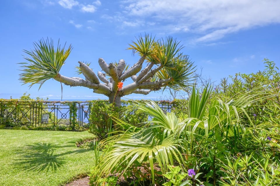 Patio, Garden, Garden view
