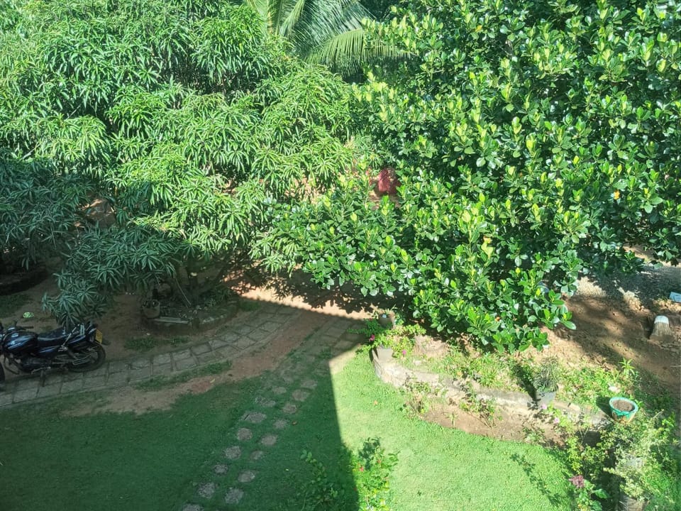 Iduwara Guest Vacation rental in Dambulla