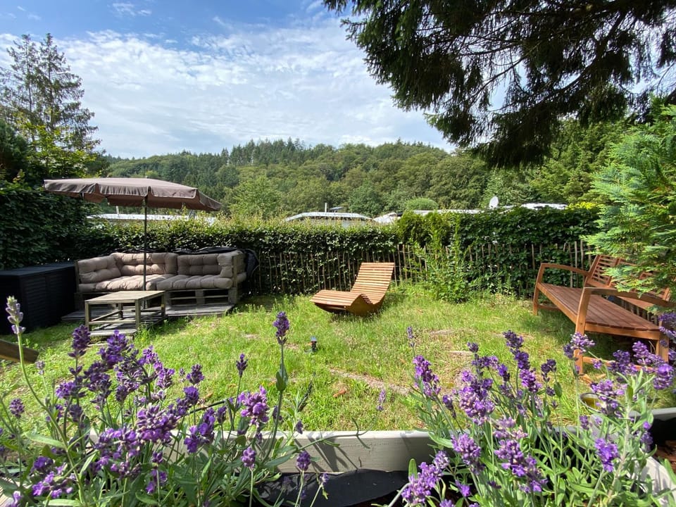 Garden, Garden view, sunbed