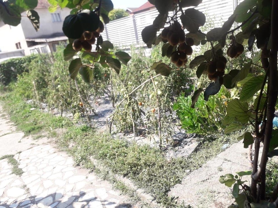 Garden, Garden view