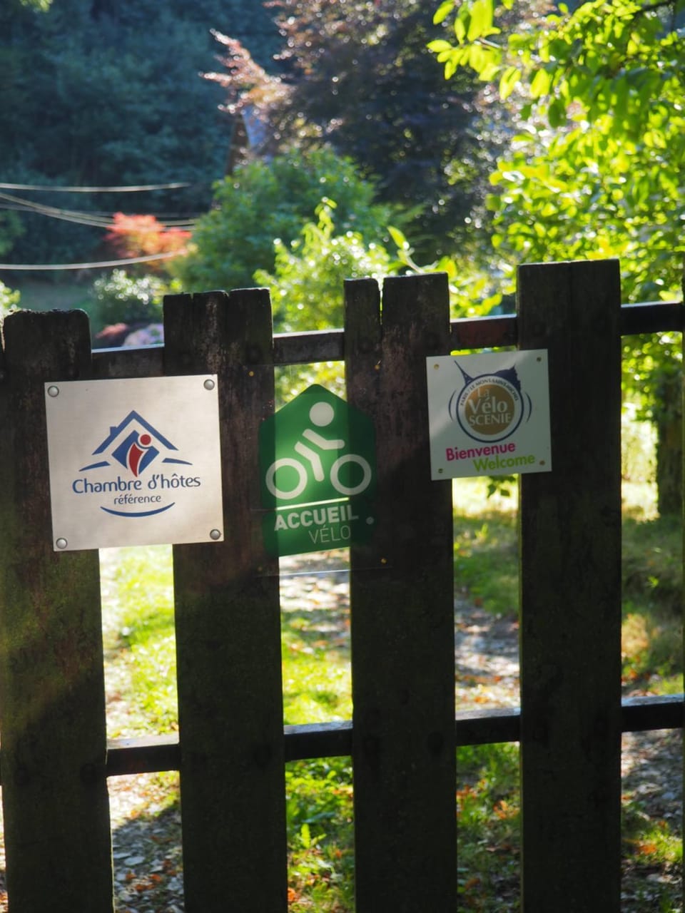 Logo/Certificate/Sign, Certificate/Award