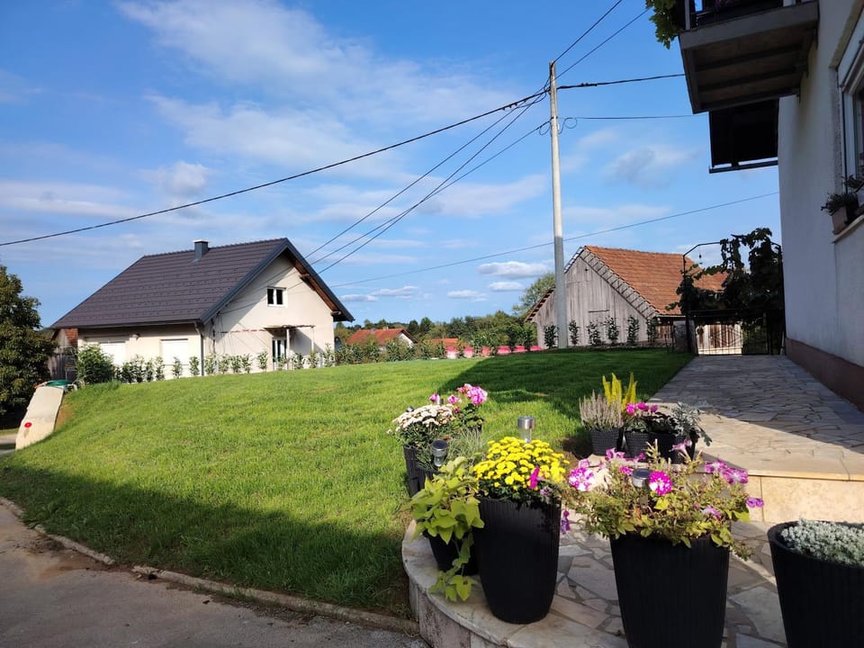 Natural landscape, Garden, Garden view