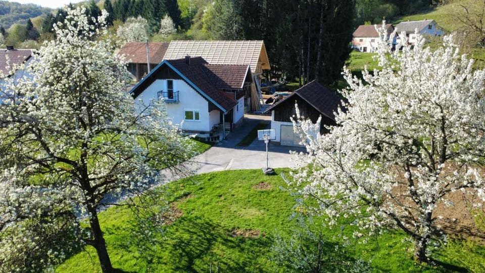 Property building, Natural landscape, Garden, Garden view