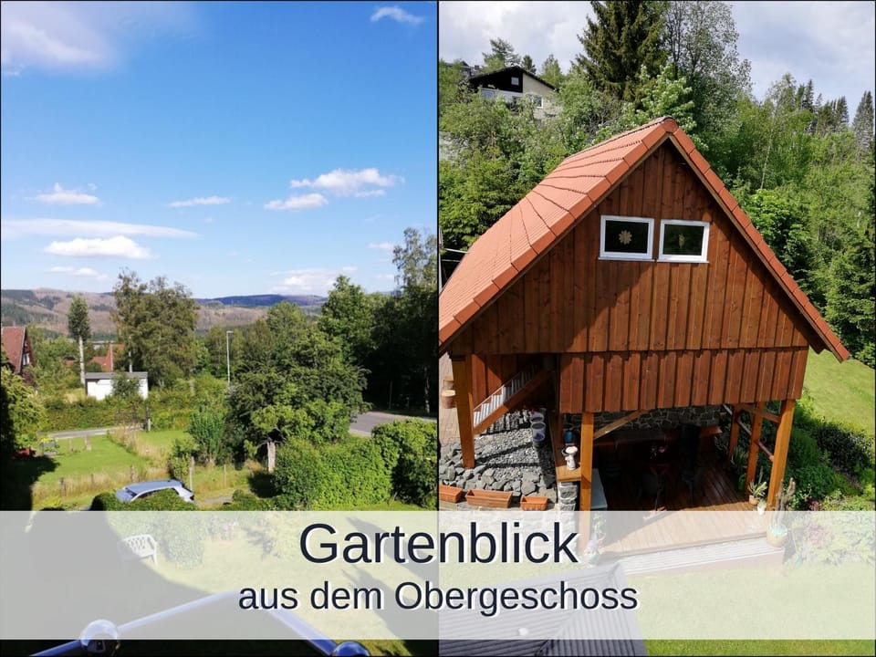 Day, Natural landscape, Garden view
