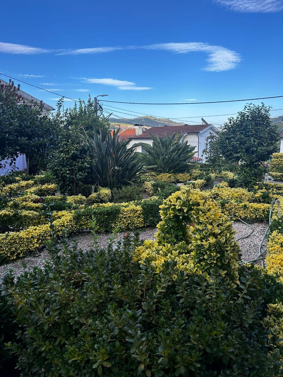Garden, Garden view