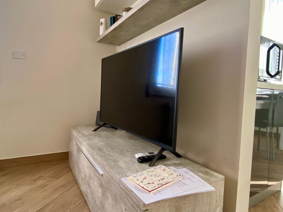 TV and multimedia, internet