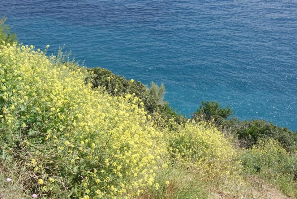 Casa Isabella House in Campo nell'Elba