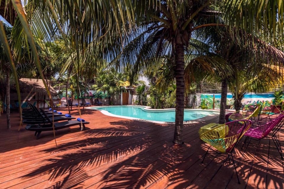 Pool view, Swimming pool