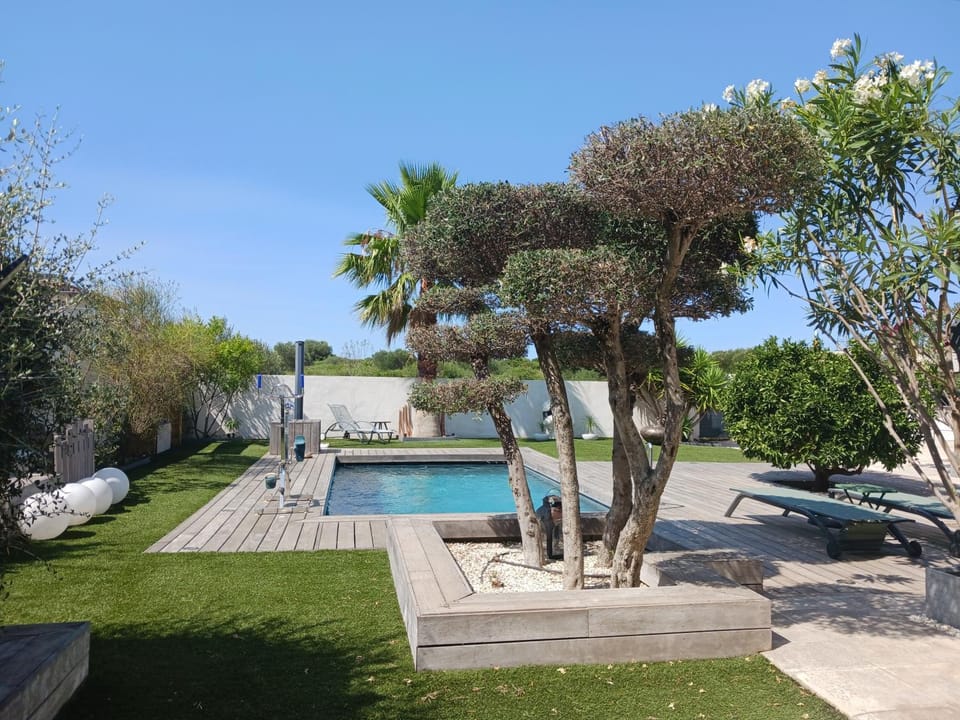 Garden, Swimming pool, sunbed