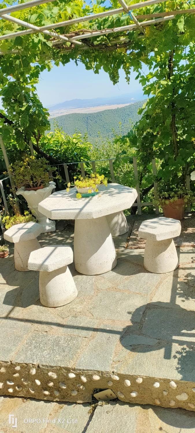 Patio, Day, Natural landscape, Garden, View (from property/room), Balcony/Terrace, Garden view