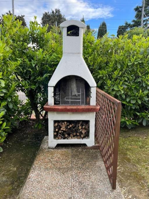 Il nido dell'abete Apartment in Tuscany