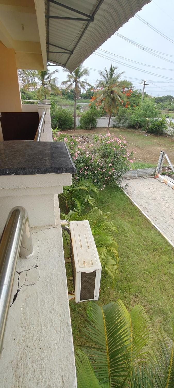 Garden view