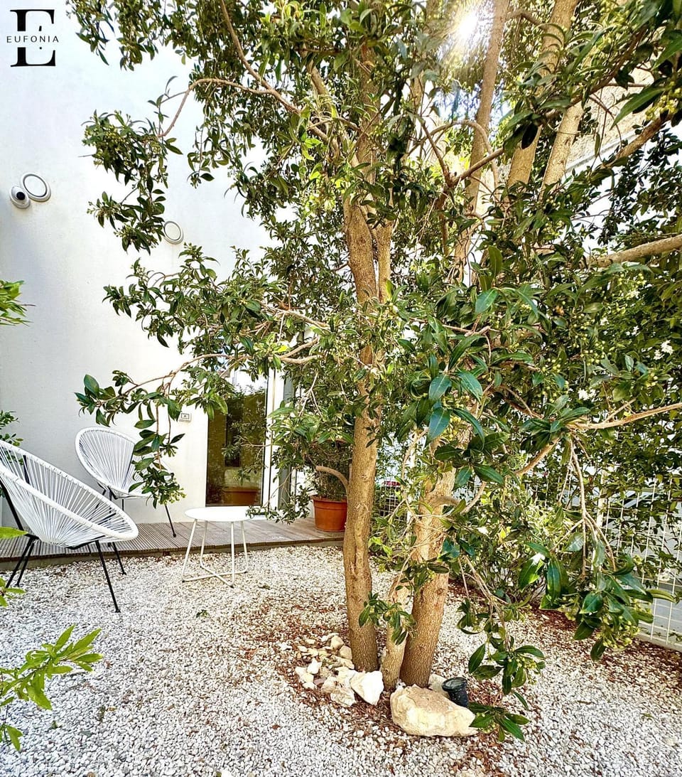 Garden, Garden view