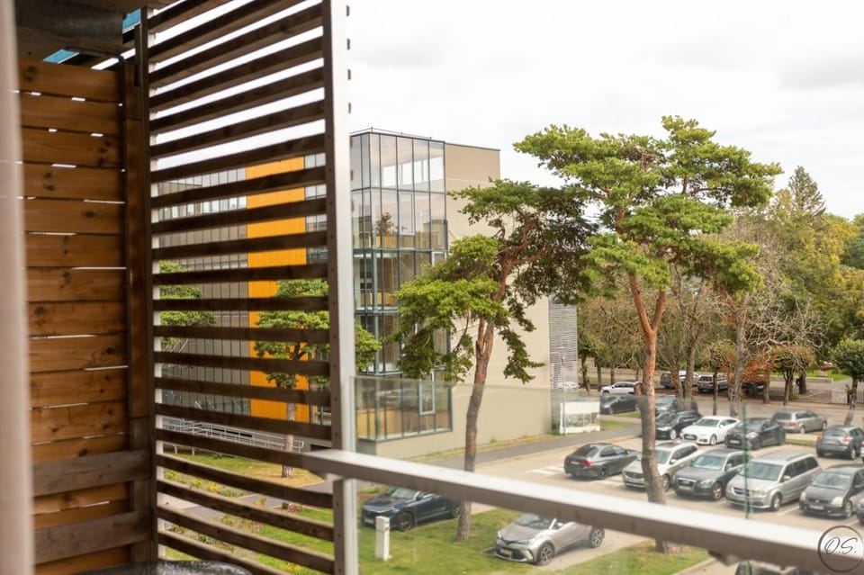 Palanga studio Apartment in Palanga