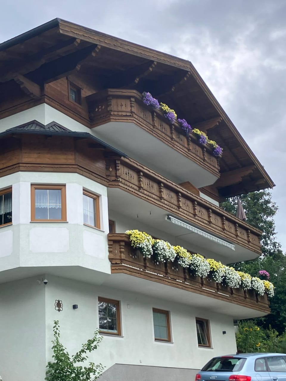 Property building