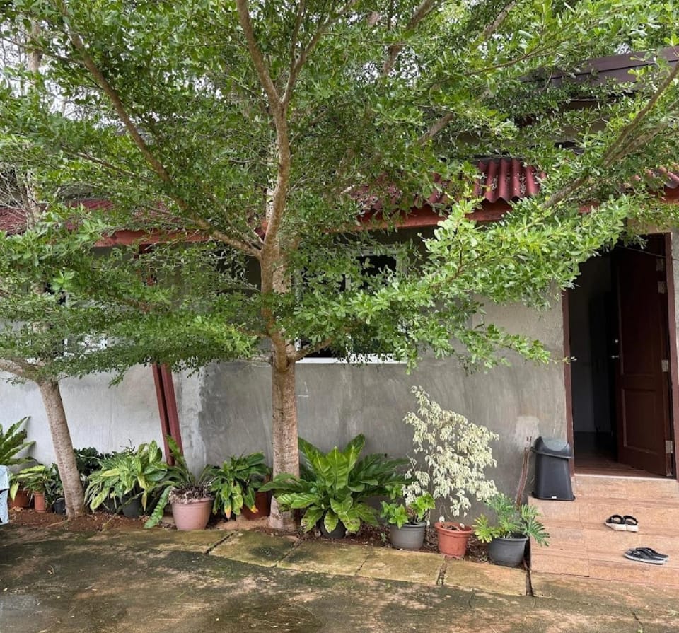 Panglao Haven Apartment in Panglao