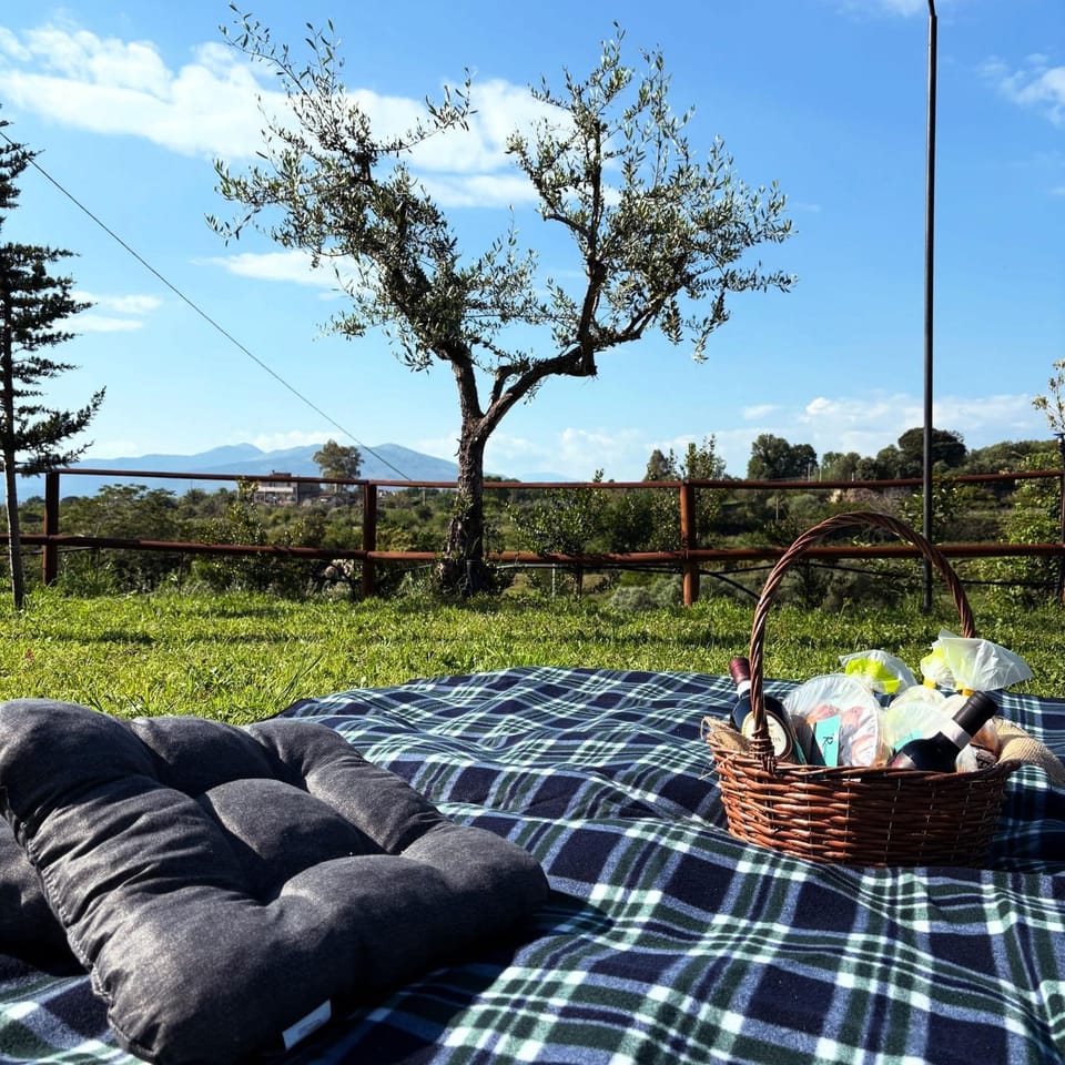 Day, Garden, Garden view, Mountain view