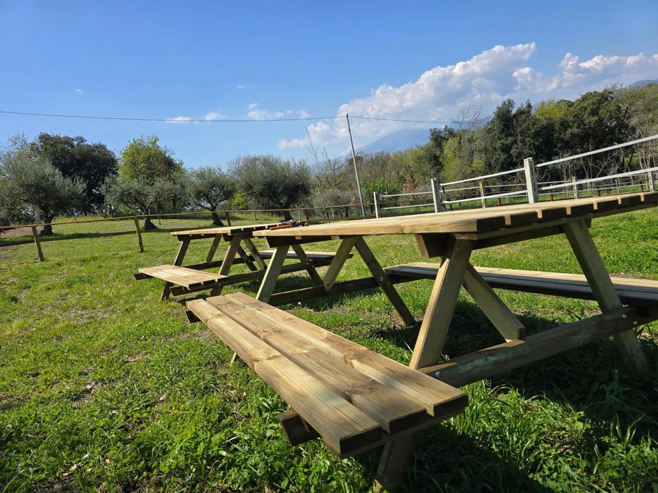Restaurant/places to eat, Spring, Day, Natural landscape
