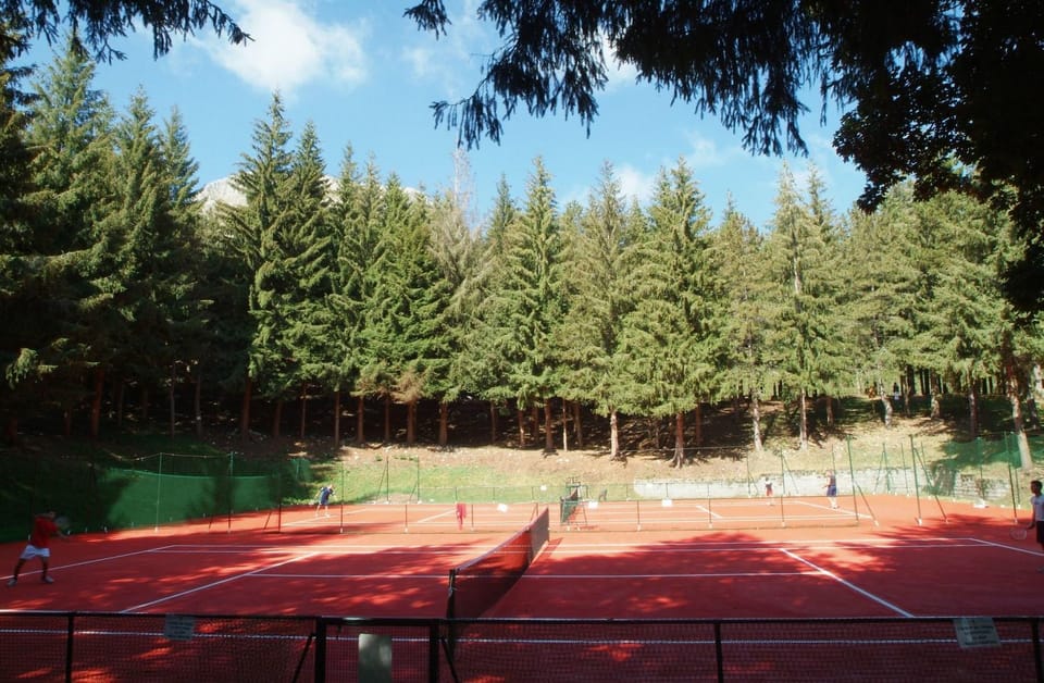 Tennis court