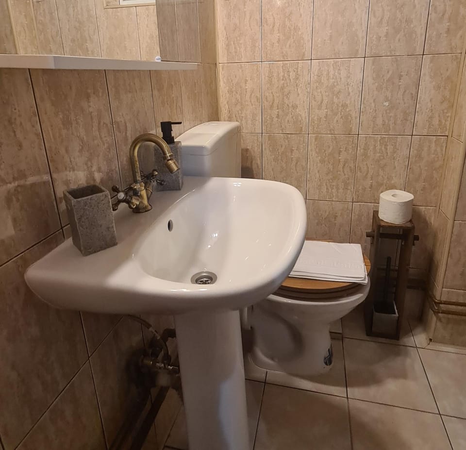 Cozy studio in noble house main square Apartment in Cluj-Napoca