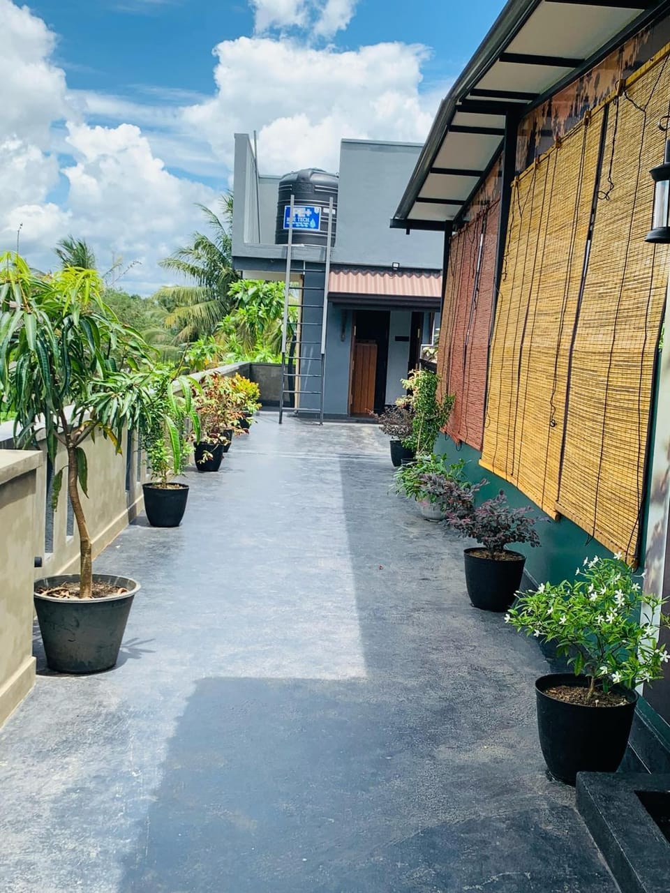Property building, Spring, Day, Garden, Garden view