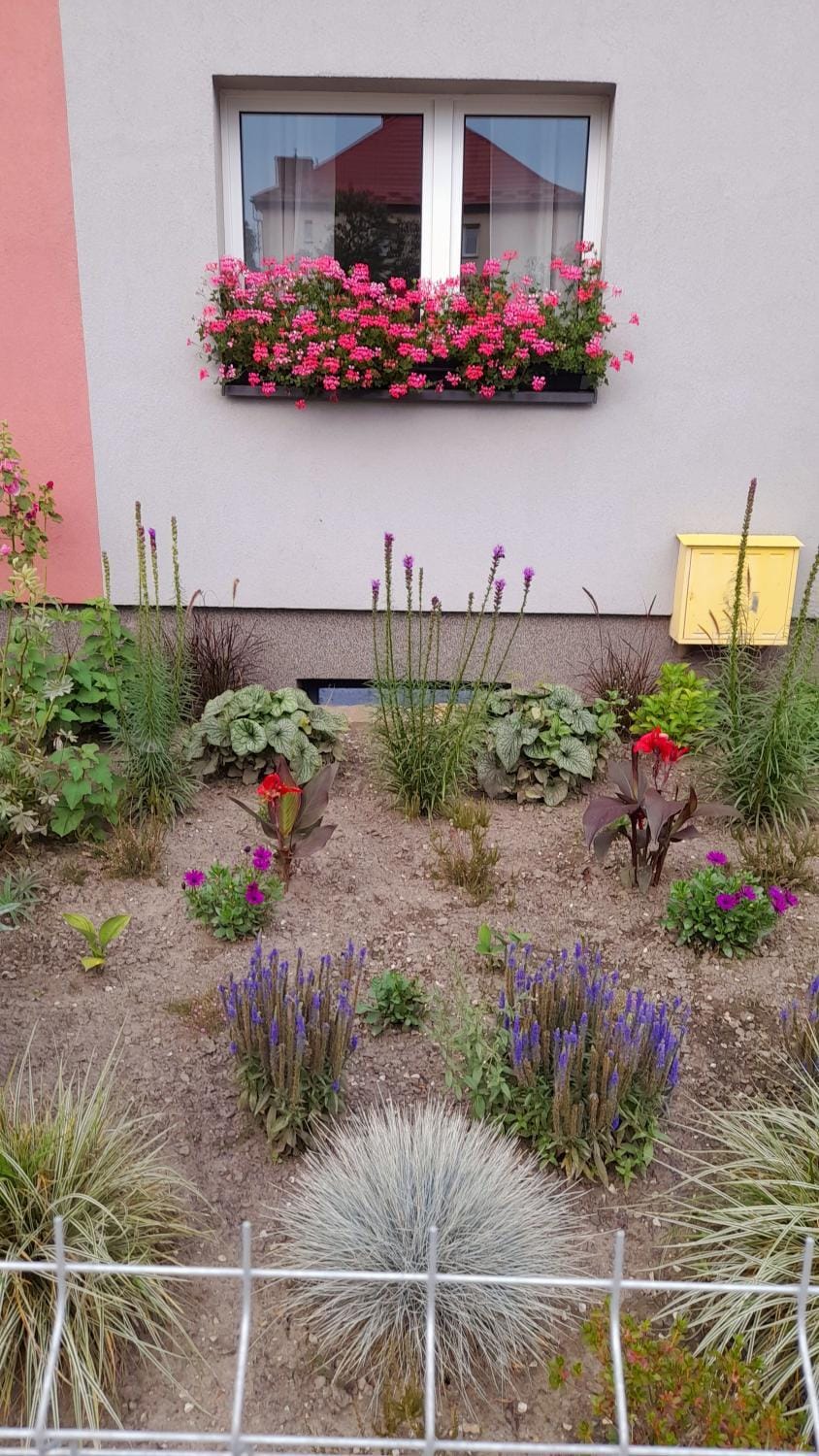 Garden, Garden view