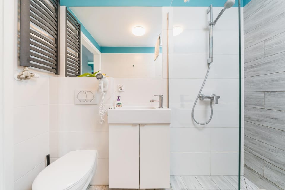 Shower, Toilet, Bathroom, hair dryier