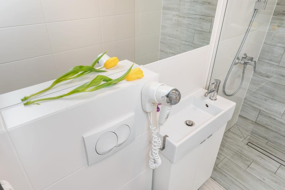 Shower, Toilet, Bathroom, hair dryier