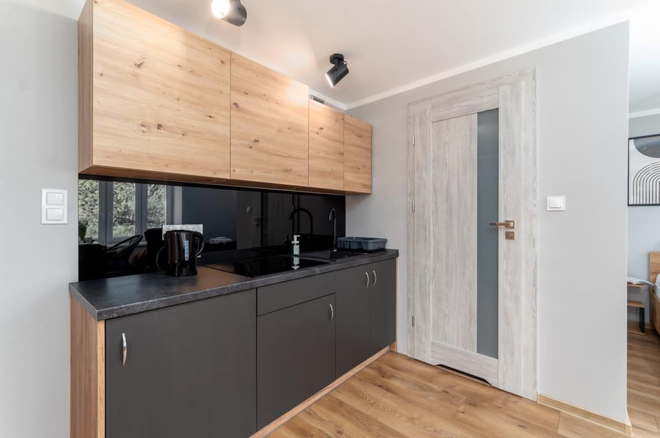 Kitchen or kitchenette, stove, stove, kitchen, kitchen