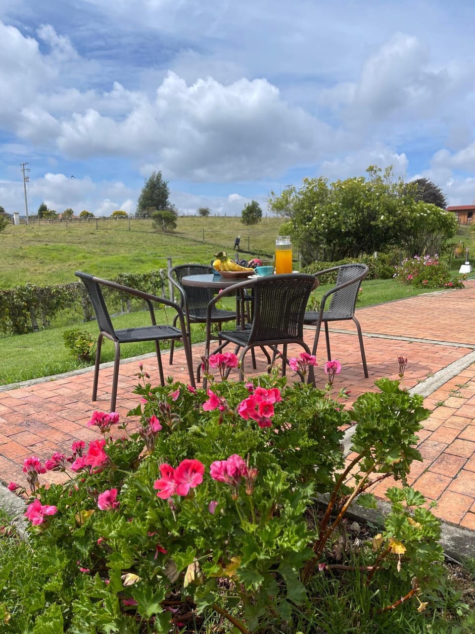 Spring, Day, Garden, Garden, Dining area, Garden view