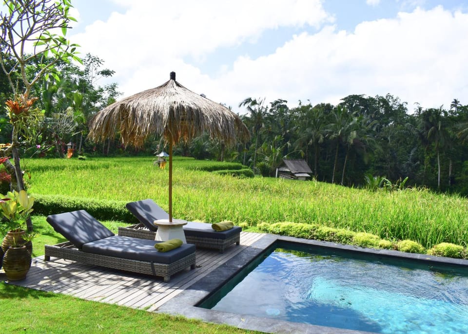 Natural landscape, Swimming pool