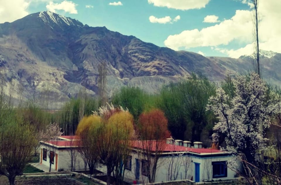 Property building, Spring, Mountain view