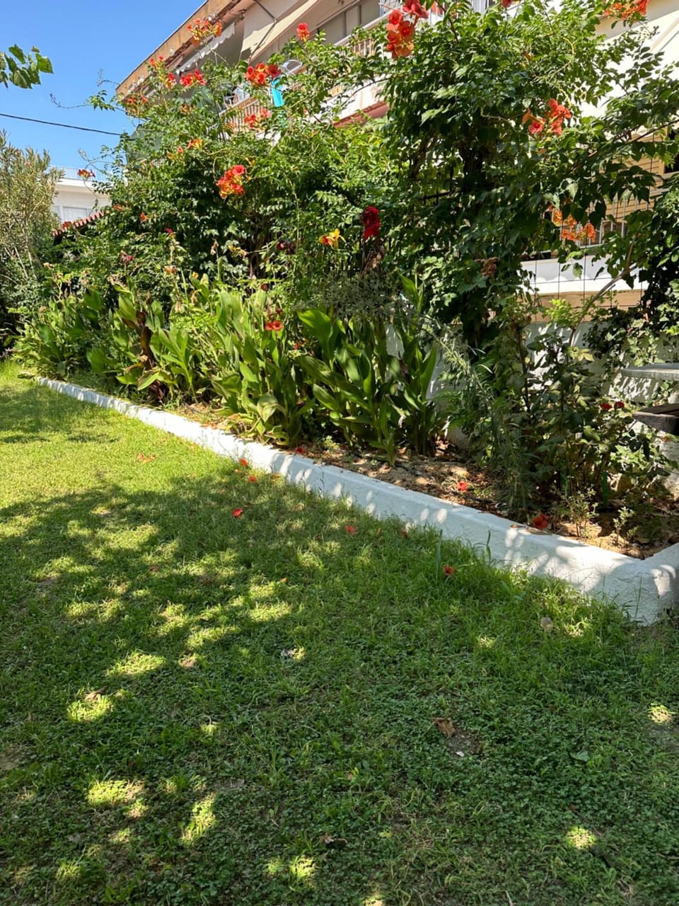 Natural landscape, Garden, Garden view