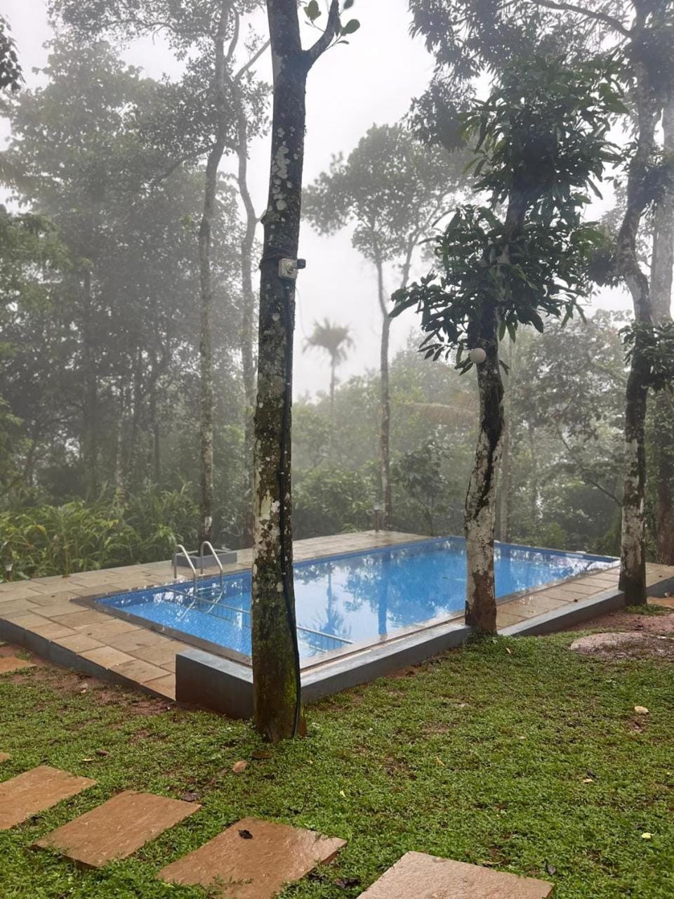 Spring, Day, Natural landscape, Garden, Garden view, Pool view, Swimming pool
