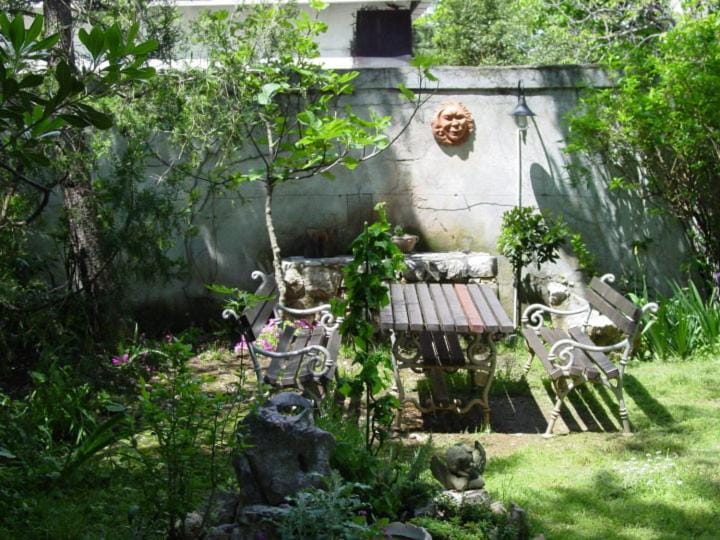 Garden, Inner courtyard view