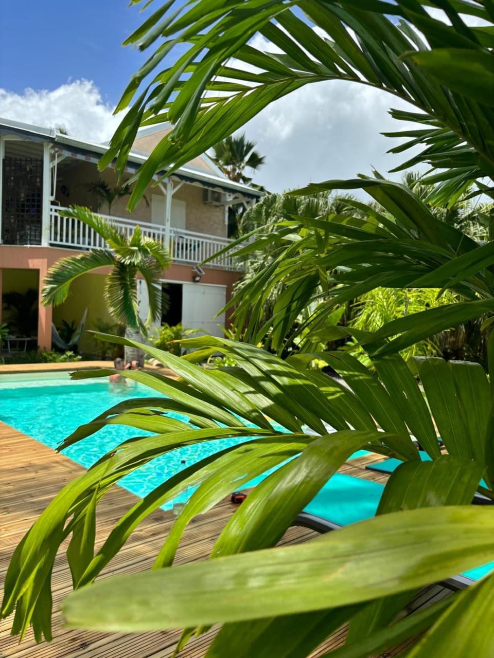 Le Petit Havre Tropical Guadeloupe, Gite, Massages & Spa Apartment in Grande-Terre, Guadeloupe
