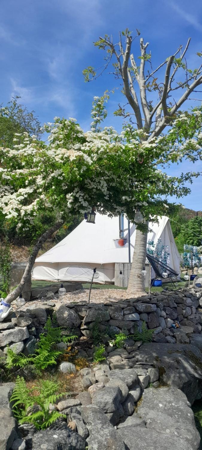 Fairy Fort at Rosemount Glamping Luxury tent in Louth, Co. Louth, Ireland