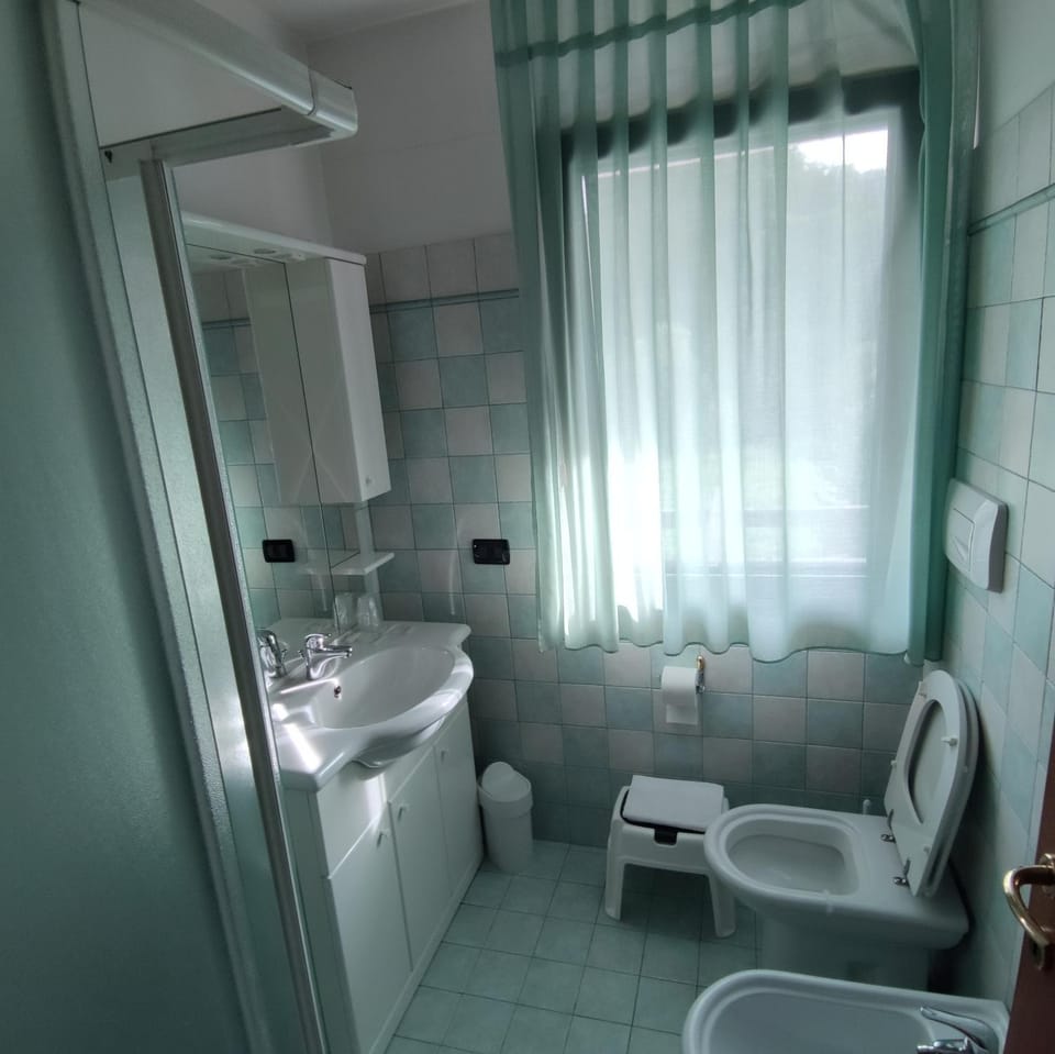 Shower, Toilet, Bathroom, bidet, towels