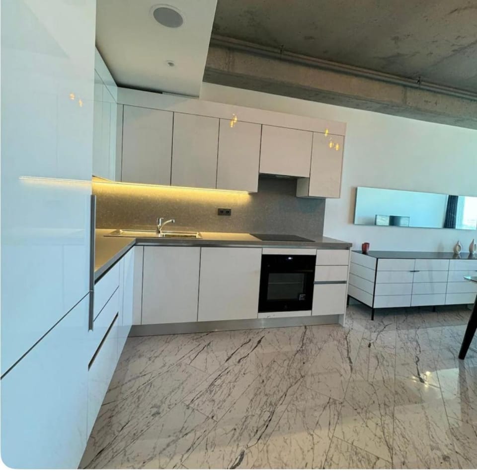 Kitchen or kitchenette, dishwasher, stove