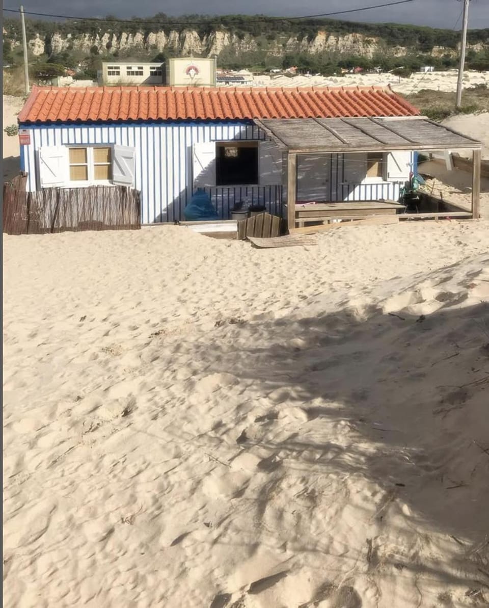 Property building, Beach, Beach, sunbed