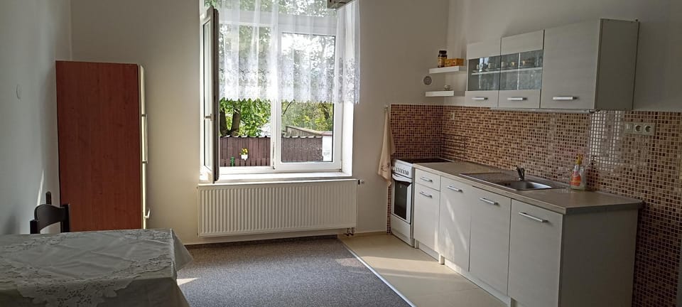 Kitchen or kitchenette, pet friendly