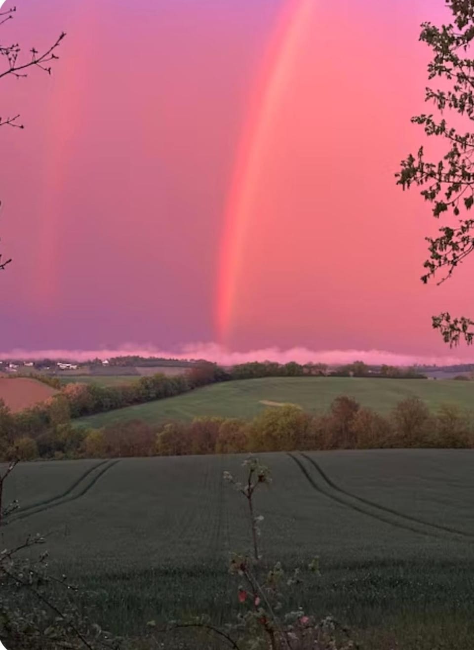 Natural landscape