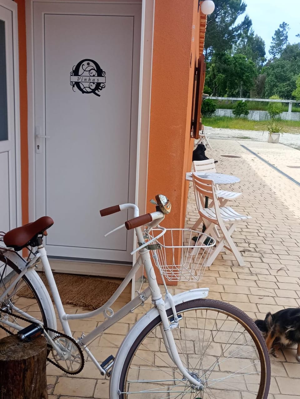 Retiro dos Cedros - Quarto Vinhas Bed and Breakfast in Aveiro District, Portugal