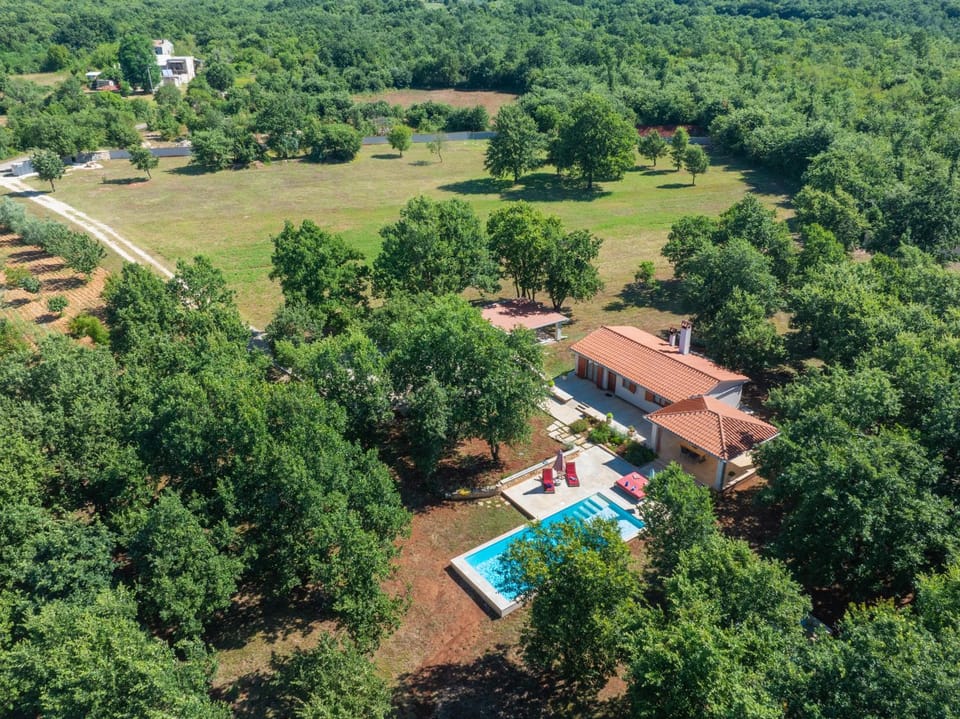 Property building, Natural landscape, Bird's eye view, Garden, Garden view, Pool view, Swimming pool, sunbed