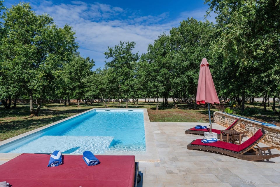 Natural landscape, Garden, Garden view, Pool view, Swimming pool, sunbed
